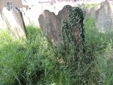 image of grave number 821533